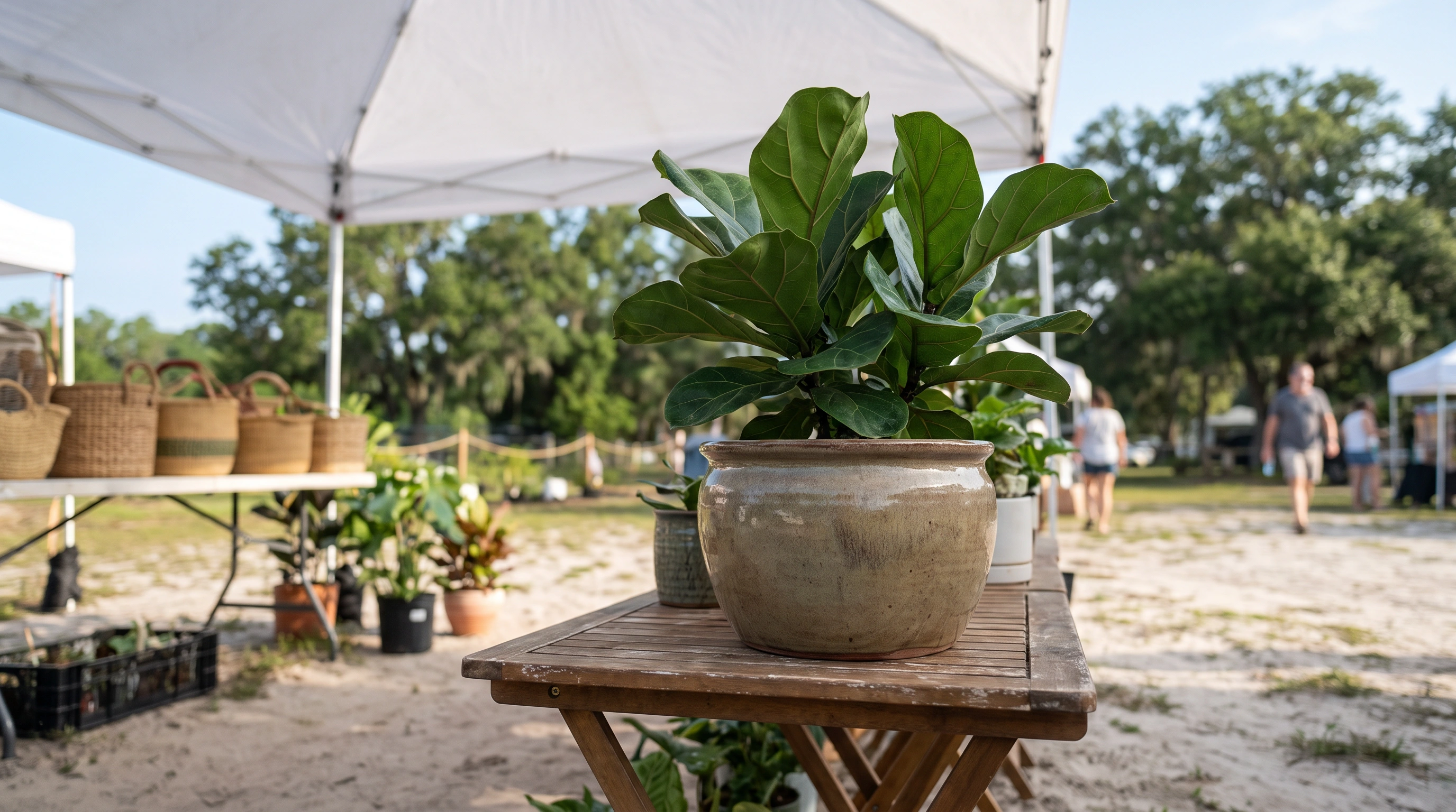 Riverview weekend: Winthrop Pop-Up Market Saturday, Fear Fest Grounds open Friday through Sunday